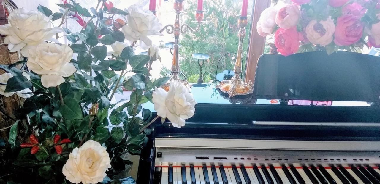 Shalanda 호텔 오데사 외부 사진